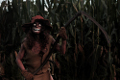 Wicked Harvest 3